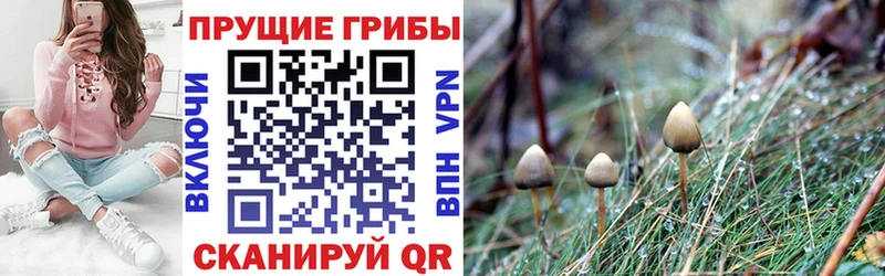 Галлюциногенные грибы ЛСД  сайты даркнета официальный сайт  Далматово 